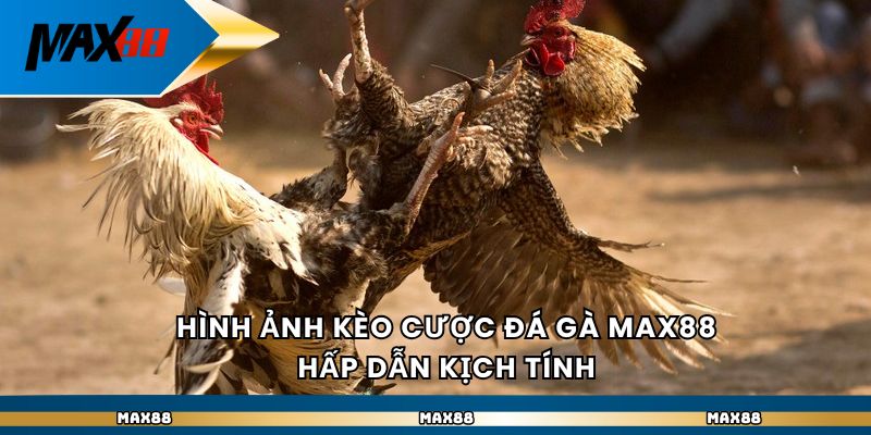 word image 6845 3